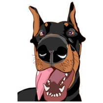 Doberman Close Up Sticker
