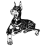 Doberman, Dog Lying Sticker