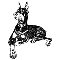 Doberman, Dog Lying Sticker