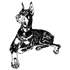 Doberman, Dog Lying Sticker
