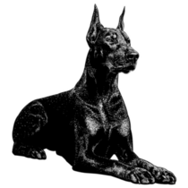 Doberman Hand Drawing Sticker