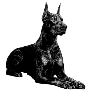 Doberman Hand Drawing Sticker