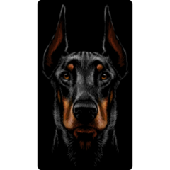 Doberman. Hidden Sticker