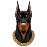 Doberman In Chain Sticker