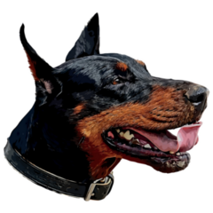 Doberman In Collar Sticker