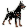 Doberman In Power Sticker