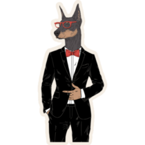 Doberman In Tuxedo Sticker