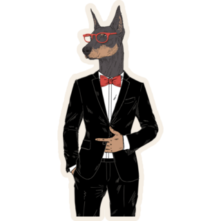 Doberman In Tuxedo Sticker
