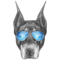 Doberman Mirror Glasses Sticker