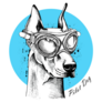 Doberman Pilot Sticker