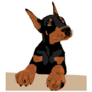 Doberman Pup Sticker