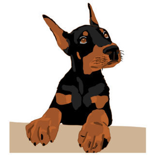 Doberman Pup Sticker