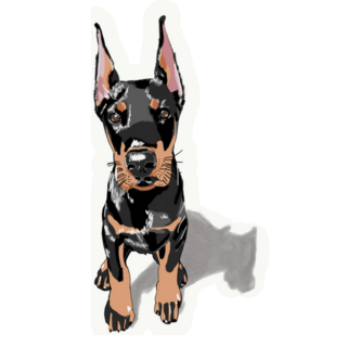 Doberman Puppy Sticker