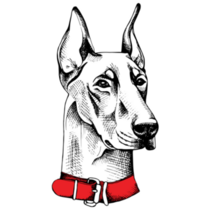 Doberman Sketch Portrait Sticker