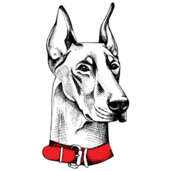 Doberman Sketch Portrait Sticker