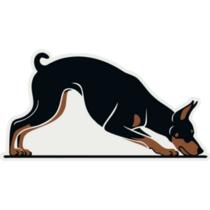 Doberman Sniffing Sticker