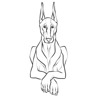 Doberman Sphinx Pose Sticker