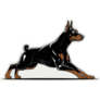 Doberman Stance Sticker