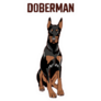 Doberman Title Sticker