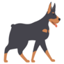 Doberman Walking With Tongue Sticker