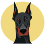 Doberman Yellow Circle Sticker