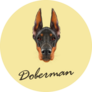 Doberman Yellow Text Sticker
