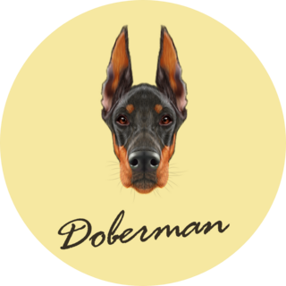 Doberman Yellow Text Sticker