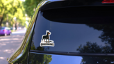 Dobermans Dogs Rule Sticker on a Rear Car Window (New) example