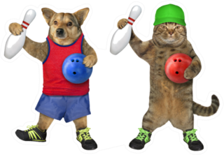Dog And Cat Athletes Are Bowling Sticker