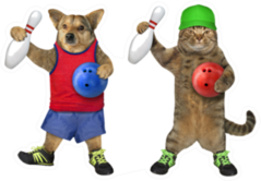 Dog And Cat Athletes Are Bowling Sticker