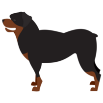 Dog Breed Rottweiler Sticker