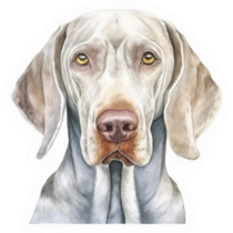 Dog Face Painted Sticker