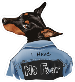 Dog In Denim Jacket Sticker