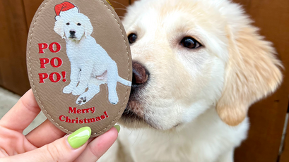 Potato-Dog-Oranmanet-Header-Image