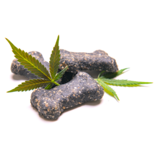 Dog Treats And Cannabis Leaves Cbd Medical Marijuana Sticker
