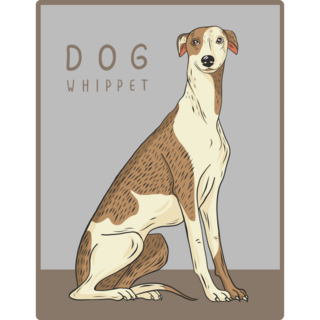 Dog Whippet Sticker