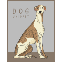 Dog Whippet Sticker