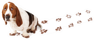 Dog With Guilty Expression And Muddy Paws Tracks Sticker