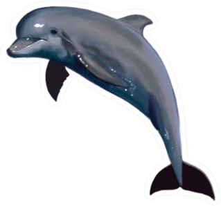 Dolphin Jump Isolated Sticker
