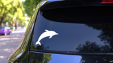 Dolphin Jumping Sticker on a Rear Car Window (New) example