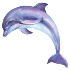 Dolphin Jumping Watercolor Illustration Sticker