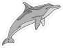 Dolphin Mascot Sticker