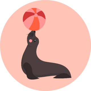 Dolphin Show Sea Lion Playing With Ball On Pink Sticker