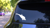 Dolphin Smiling Sticker on a Rear Car Window (New) example