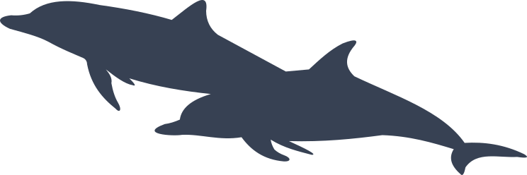 Dolphin Swimming Together Sticker