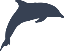 Dolphin With Flat Face Sticker