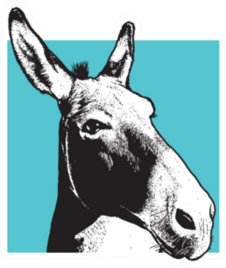 Donkey - Black And White Portrait On Blue Square Sticker