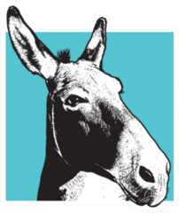 Donkey - Black And White Portrait On Blue Square Sticker