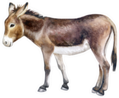 Donkey Colorful Hand Drawn Sticker