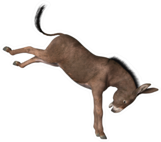 Donkey Kicking Its Hind Legs Isolated On White Sticker